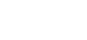 logo onepage portfolio alternate